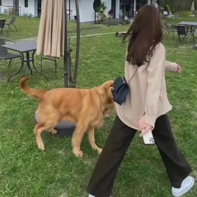 降龙传说